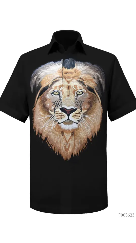 Laxmi Savanna - Lion King