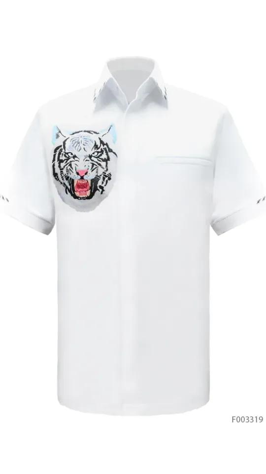 Laxmi Savanna - Tiger 04