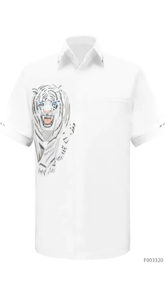 Laxmi Savanna - Tiger 05