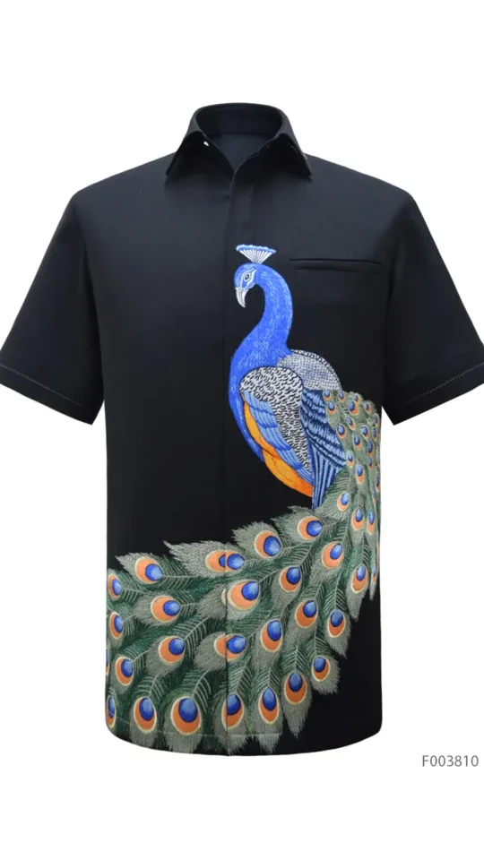 Laxmi Feather - Pavone