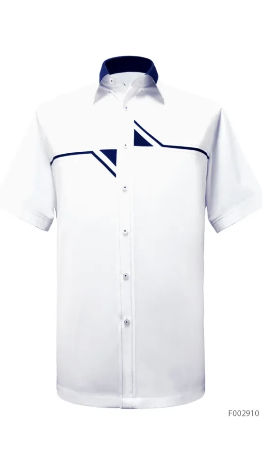 Laxmi White Minimalist 02