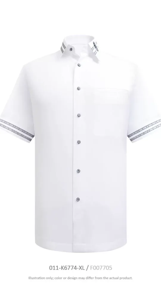 Laxmi Minimalist - Collar Lion King